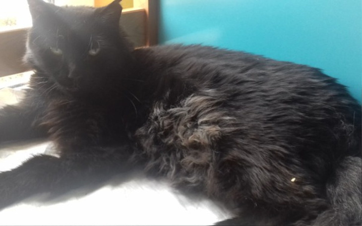 Zbiórka Odzyskać zdrowie po latach ... - zdjęcie główne