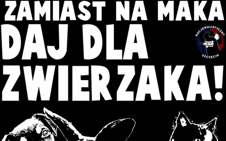 Zbiórka Karma dla TOZ - zdjęcie główne