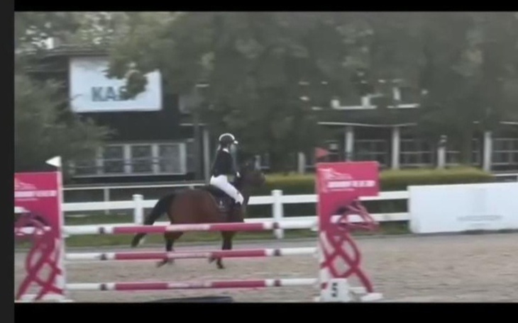 Zbiórka Zbieram na Kucyka Mario K - zdjęcie główne