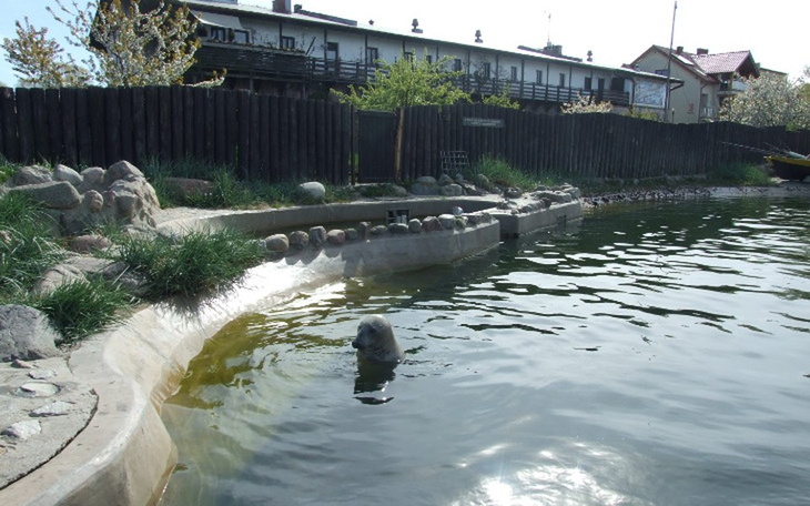 Zbiórka Życie bez długów po ojcu - zdjęcie główne