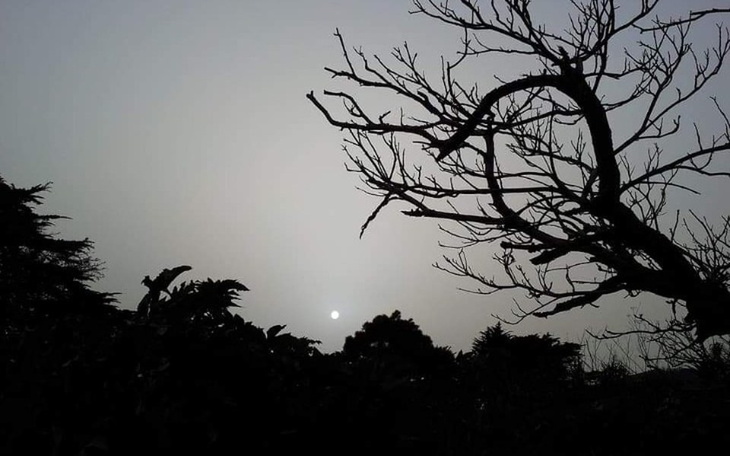 Zbiórka Pomóż mojej przyjaciółce - zdjęcie główne