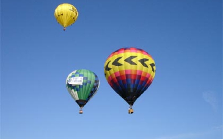 Zbiórka Dla kotka 99 xx - zdjęcie główne