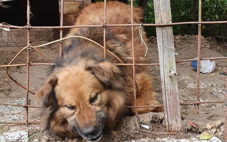 Zbiórka Szansa na nowe lepsze życie - zdjęcie główne