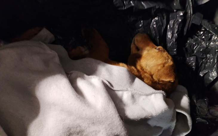 Zbiórka Powolna śmierć na poboczuNigdy - zdjęcie główne