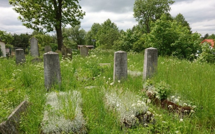 Zbiórka Ocalenie cmentarza - zdjęcie główne