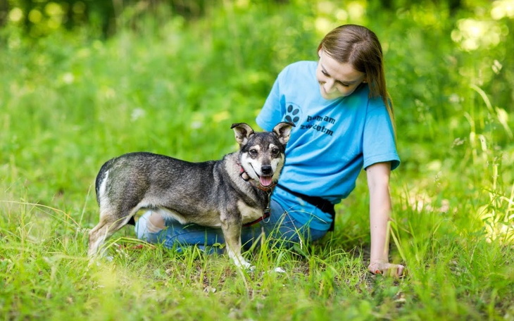 Młoda kobieta bawi się z psem w zielonej trawie.
