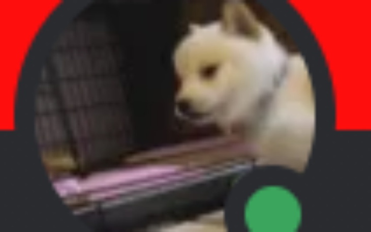 Zbiórka Na SANDACZA ćpuna - zdjęcie główne