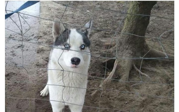 Zbiórka Zbiórka na moja  marzenie - zdjęcie główne