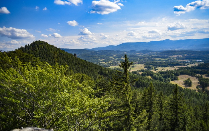 Zbiórka Mała Kruszynka i jej mama - zdjęcie główne