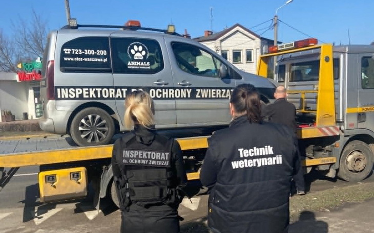 Służby inspekcyjne chronią zwierzęta podczas transportu