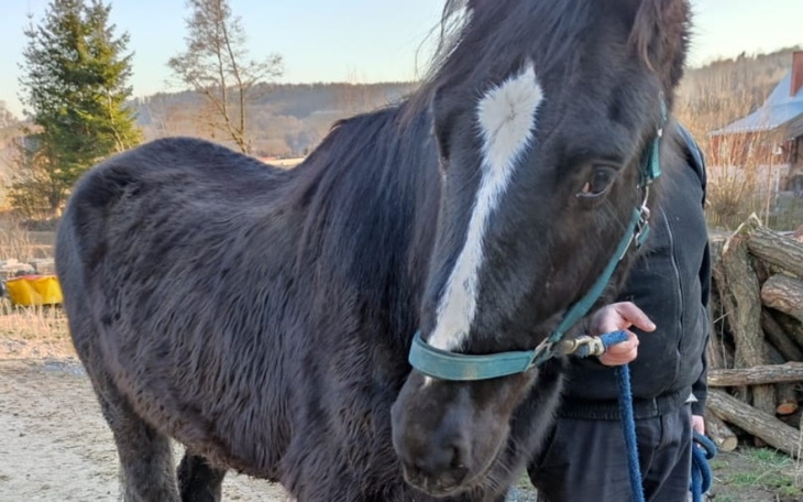 Zbiórka Perun potrzebuje NOWYCH OCZU - zdjęcie główne