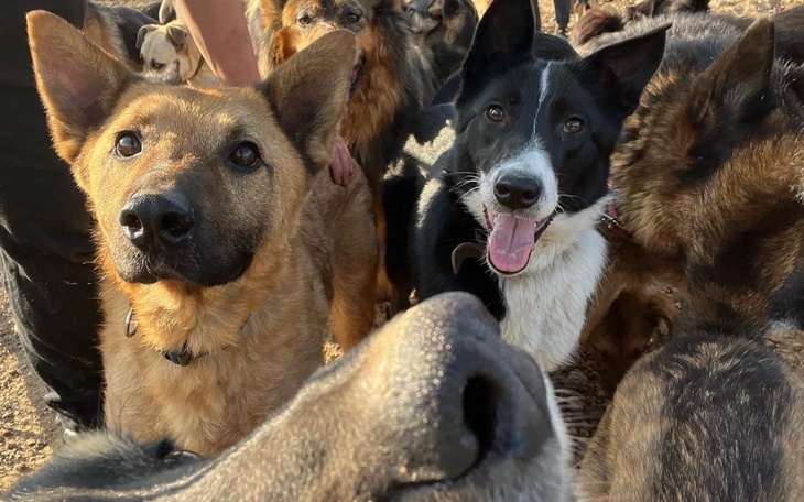 Zbiórka Pieniądze dla DIOZ - zdjęcie główne