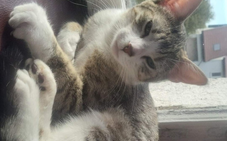 Zbiórka Pilne na Operacje - zdjęcie główne