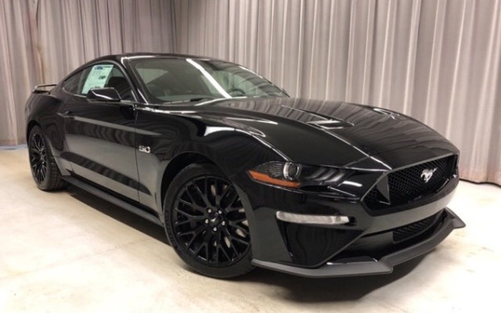 Zbiórka Mustang 😂 - zdjęcie główne