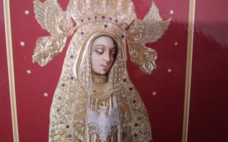 Zbiórka Pomoc Wioli - zdjęcie główne