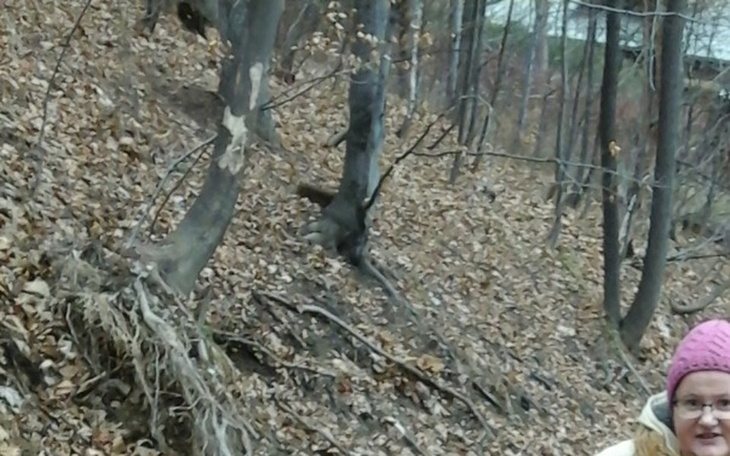 Zbiórka Na sprawy codzienne - zdjęcie główne