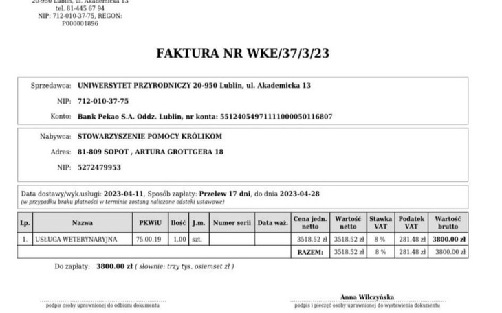 Zbiórka FakturaUP i Rex - zdjęcie główne