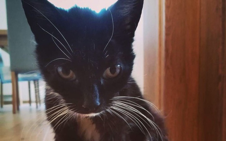 Zbiórka Operacja - Rak jamy ustnej - zdjęcie główne