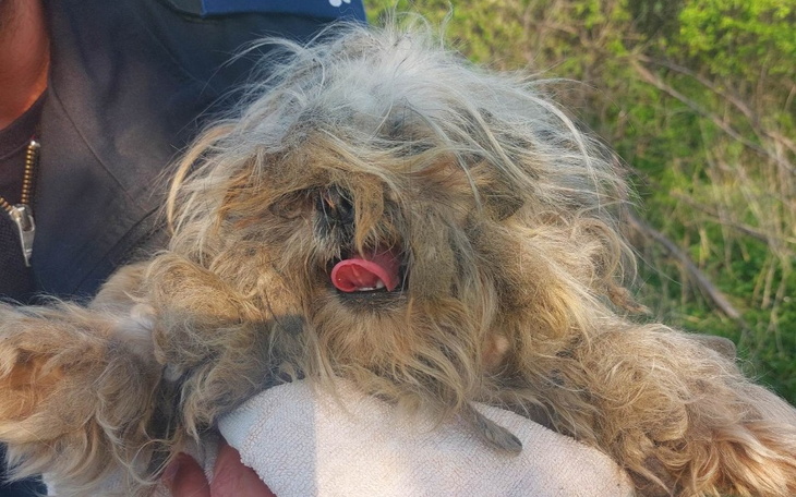 Zbiórka Pokonać los - zdjęcie główne