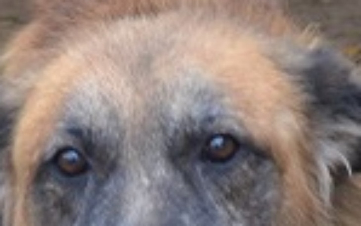 Zbiórka Na nowe życie Sambora z Radys - zdjęcie główne