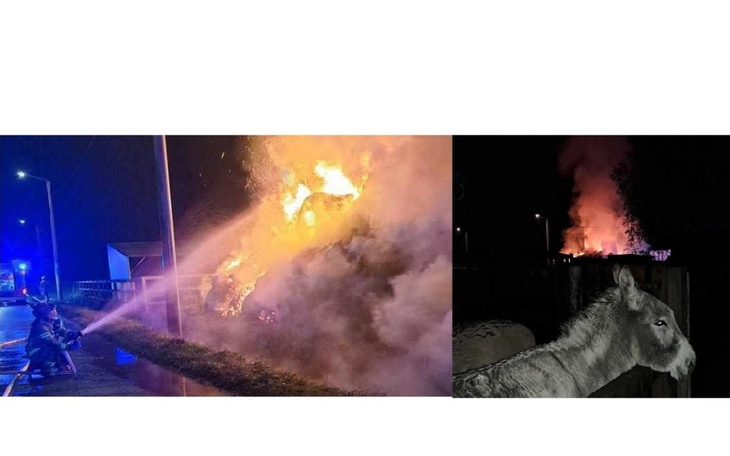 Zbiórka Pożar w Przystani Ocalenie - zdjęcie główne