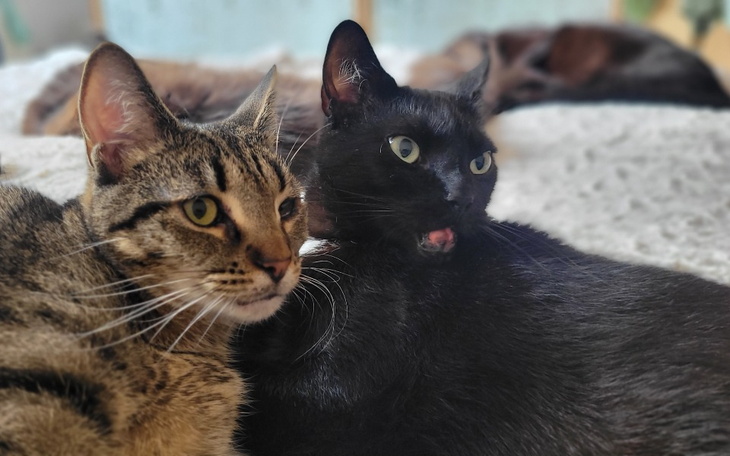 Zbiórka Lato KSB - sezon 2022 - zdjęcie główne