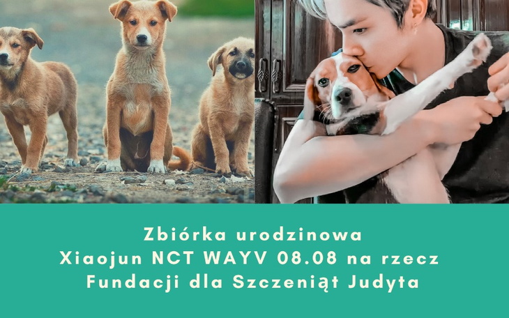 Zbiórka XIAOJUN ratuje szczeniaki - zdjęcie główne