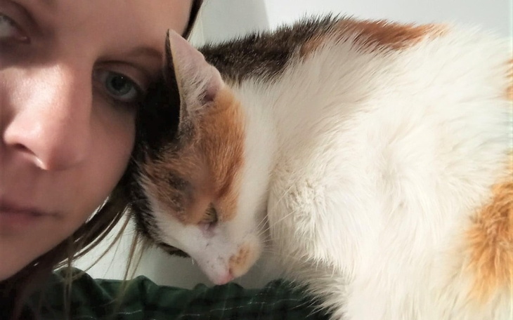 Zbiórka Merida Waleczna jeszcze walczy.. - zdjęcie główne