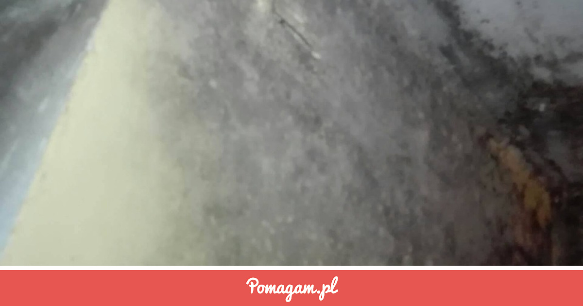 Pomuz Zrzutka na Pomóż Normalnie Żyć - Renata R | Pomagam.pl