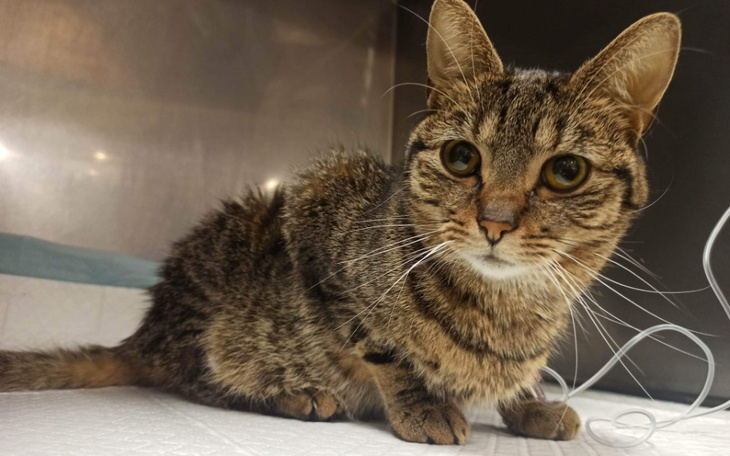 Zbiórka Życie warte 5000 złotych - zdjęcie główne