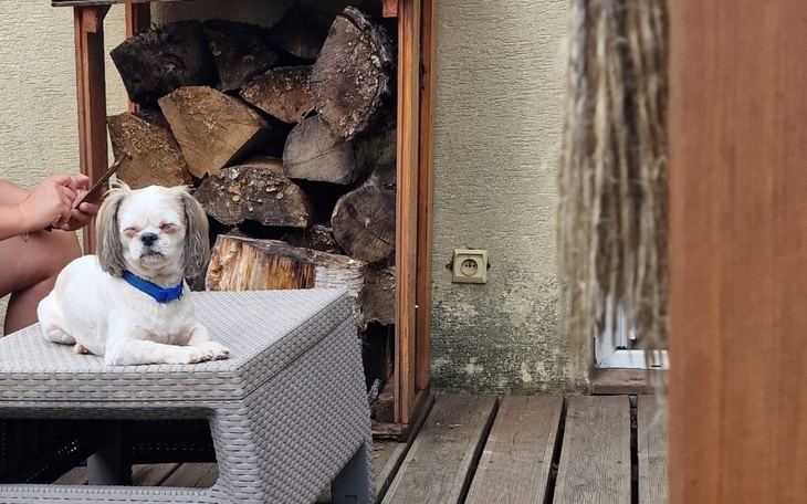 Zbiórka Operacja kręgosłupa Mimi - zdjęcie główne