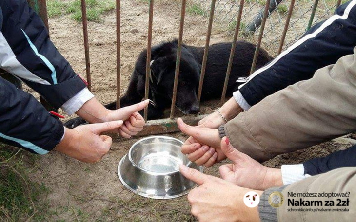Zbiórka Pobierz im krew do badań - zdjęcie główne