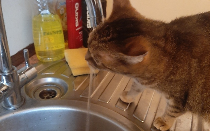 Zbiórka Na skyter - zdjęcie główne