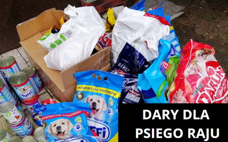 Zbiór darów dla schroniska dla psów.