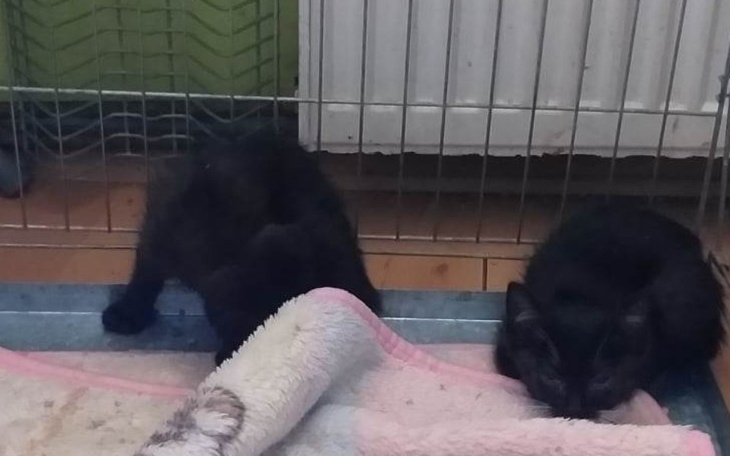 Zbiórka Wyprawka dla Maluszków - zdjęcie główne