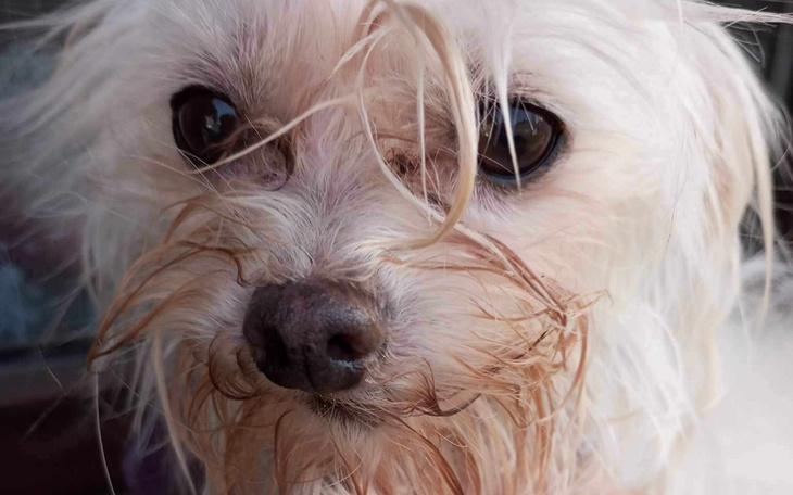 Zbiórka Zaniedbana przez człowieka - zdjęcie główne
