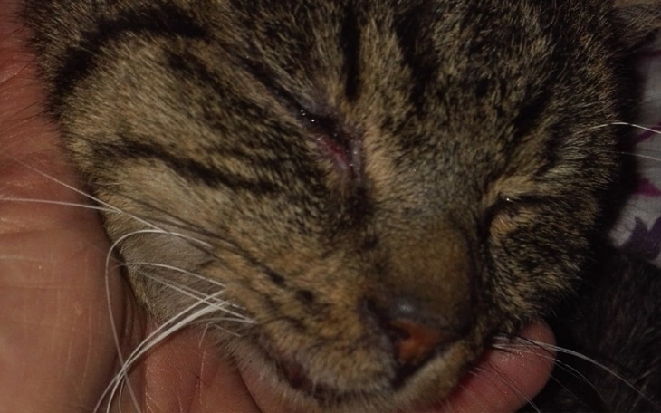 Zbiórka Morbital czy świąteczny cud - zdjęcie główne