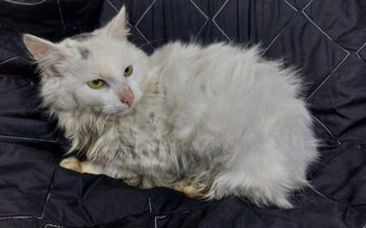 Zbiórka Przerażony Albin - zdjęcie główne