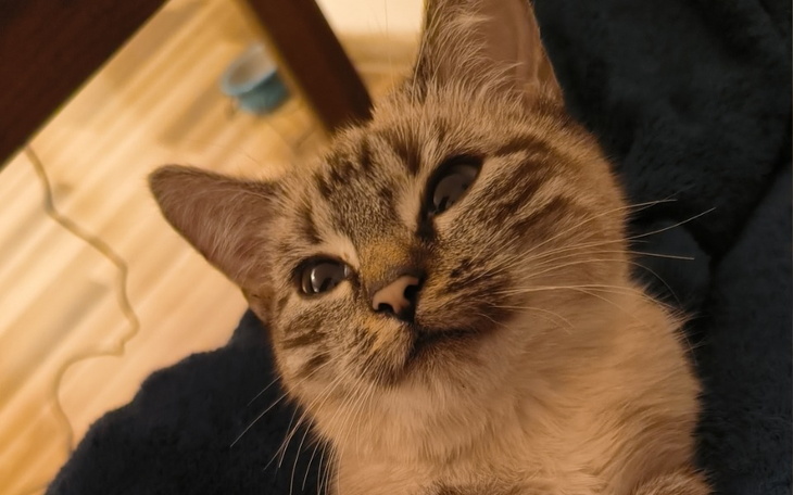 Zbiórka dla małego cudu swiata - zdjęcie główne