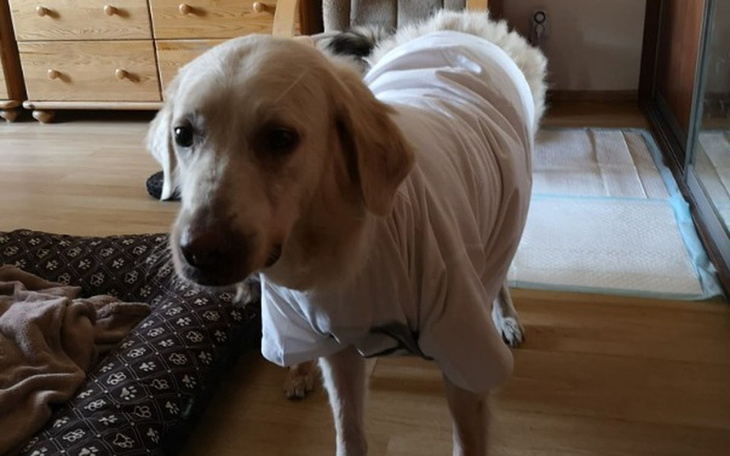 Zbiórka Hope - zdjęcie główne