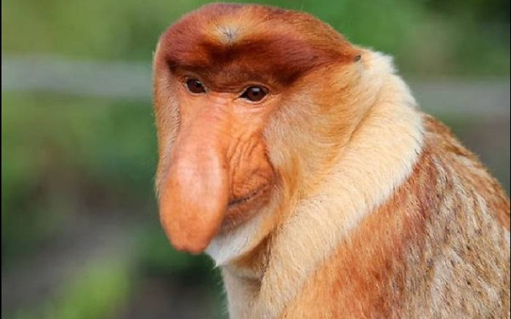 Zbiórka Na samochód i spłate długów :( - zdjęcie główne