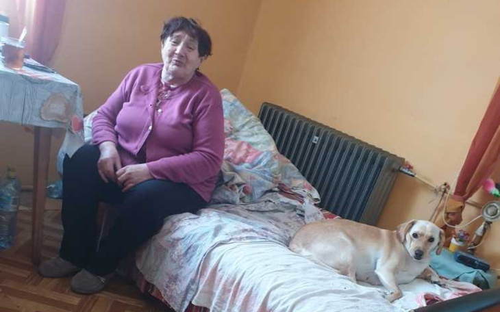 Zbiórka Właściwy dom dla Babci Janiny - zdjęcie główne