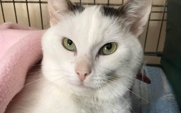 Zbiórka Pomóż kalekiemu Wincentemu - zdjęcie główne