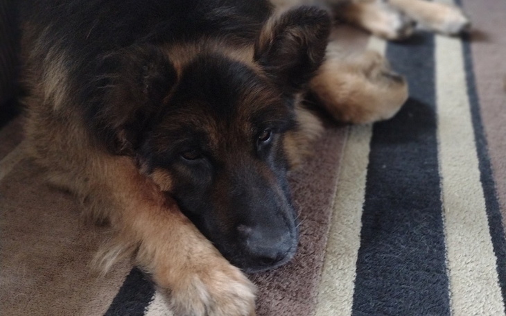 Zbiórka By ucho przestało w końcu boleć - zdjęcie główne