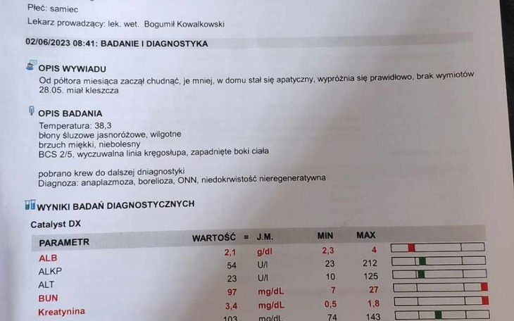 Zbiórka Leczenie Leona chory - zdjęcie główne