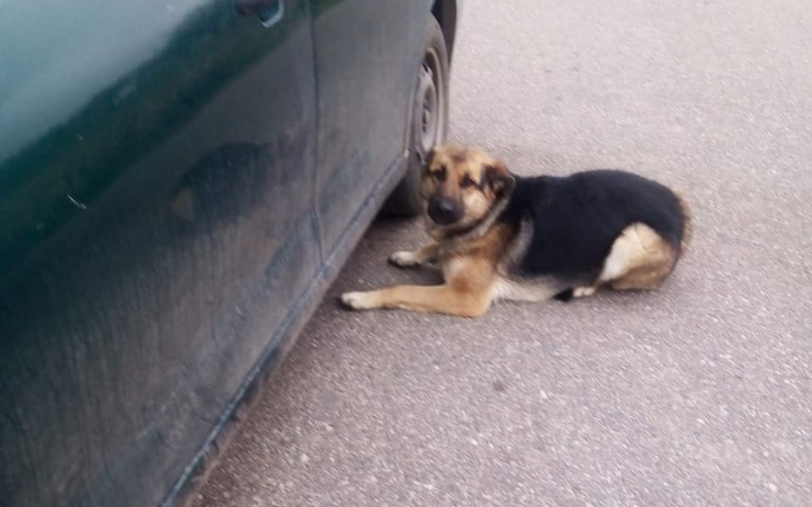 Zbiórka Sunia uratowana przed Kotliskami - zdjęcie główne