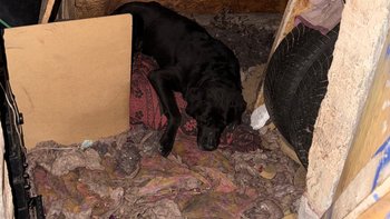 Zbiórka Skatowane konały w komórce - miniaturka zdjęcia