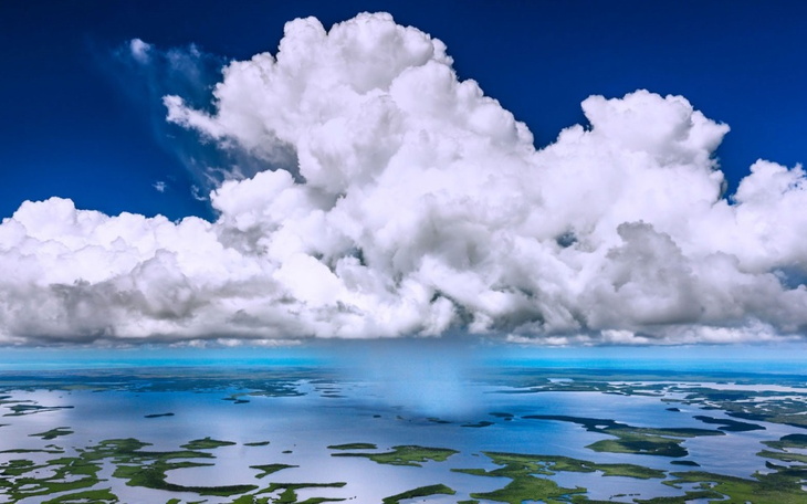 Zbiórka Na spotkania rodzin empatycznych - zdjęcie główne