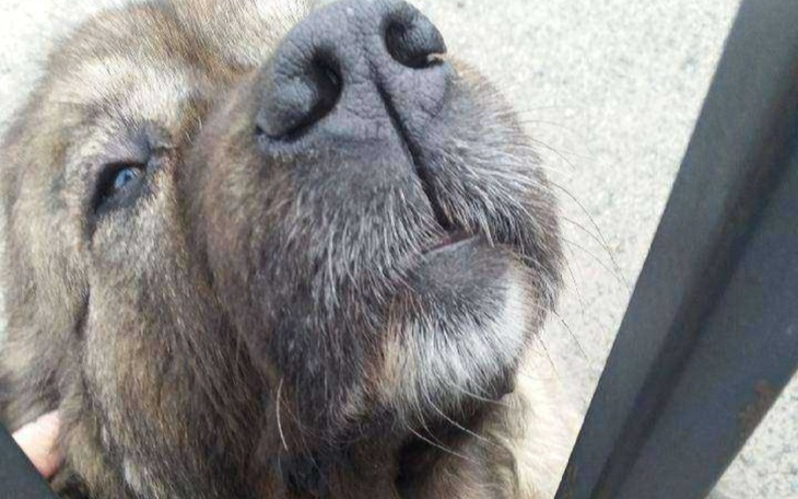 Zbiórka Znaleziony w rowie... - zdjęcie główne