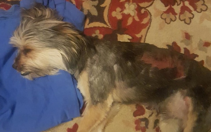 Zbiórka Ratujemy Lucka - zdjęcie główne